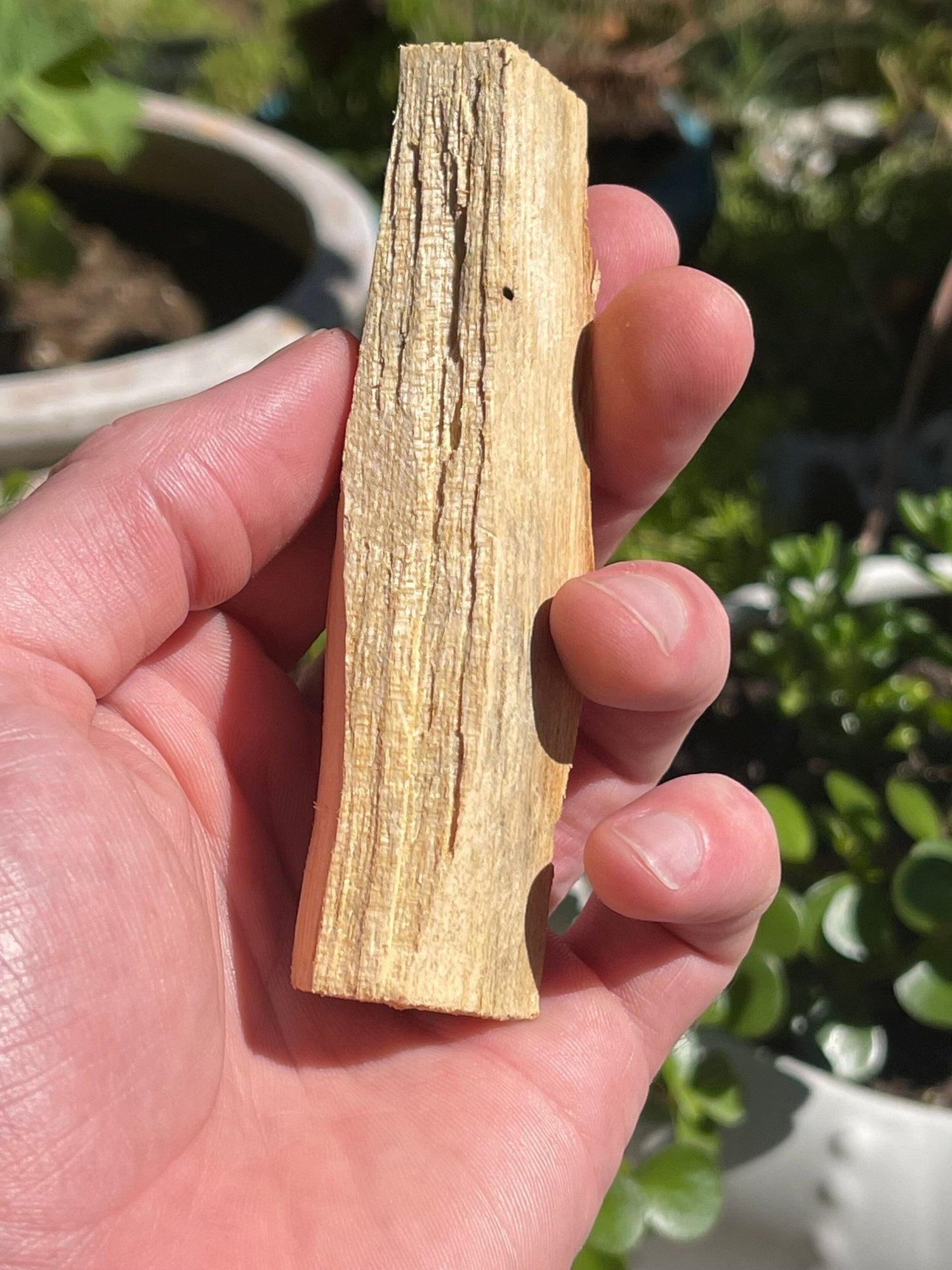 4 Palo Santo Sticks - Healing Stone Beings