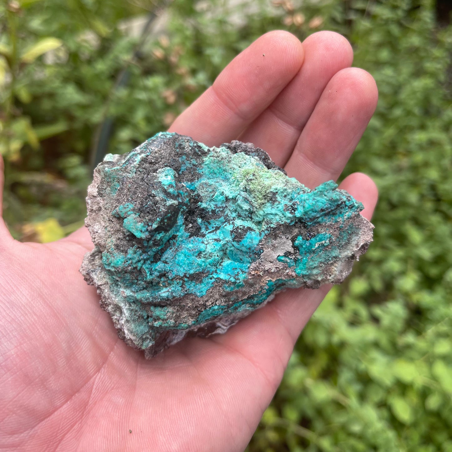 Chrysocolla