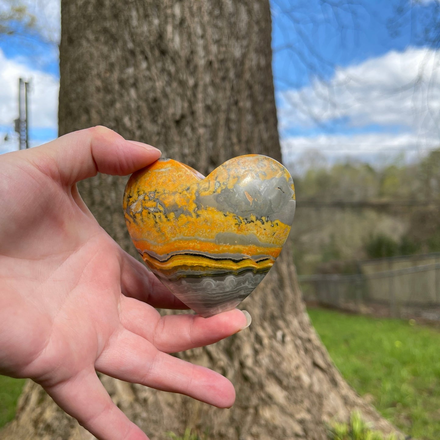 Bumble Bee Jasper Heart - Healing Stone Beings