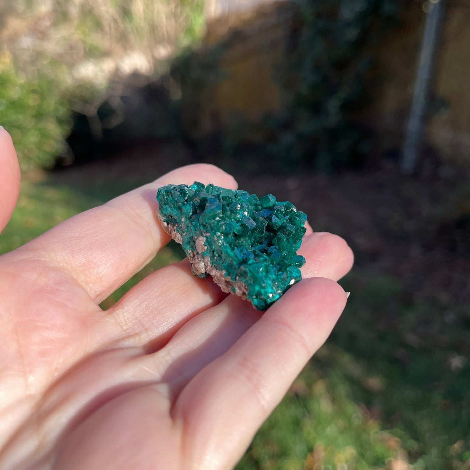 Dioptase from Congo - Healing Stone Beings