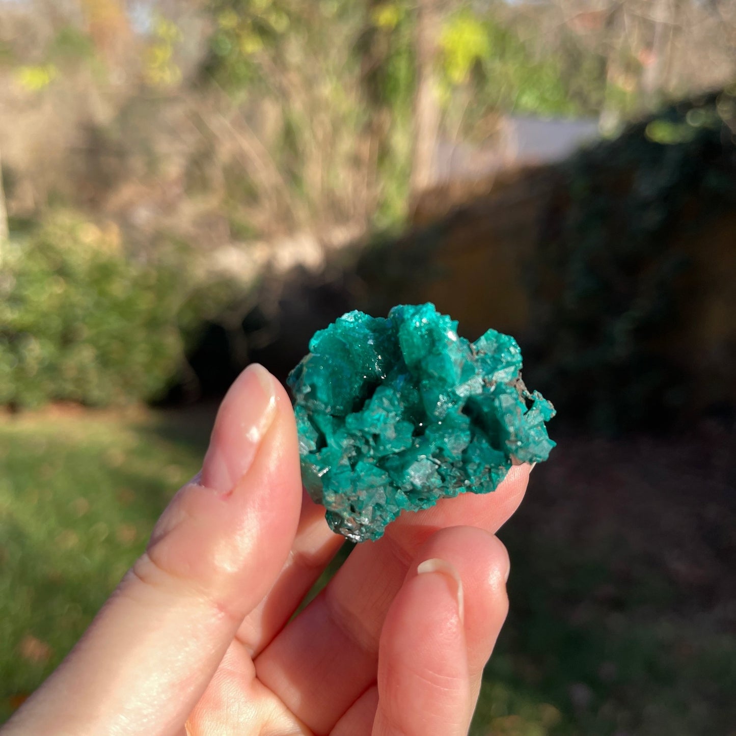 Dioptase from Congo - Healing Stone Beings