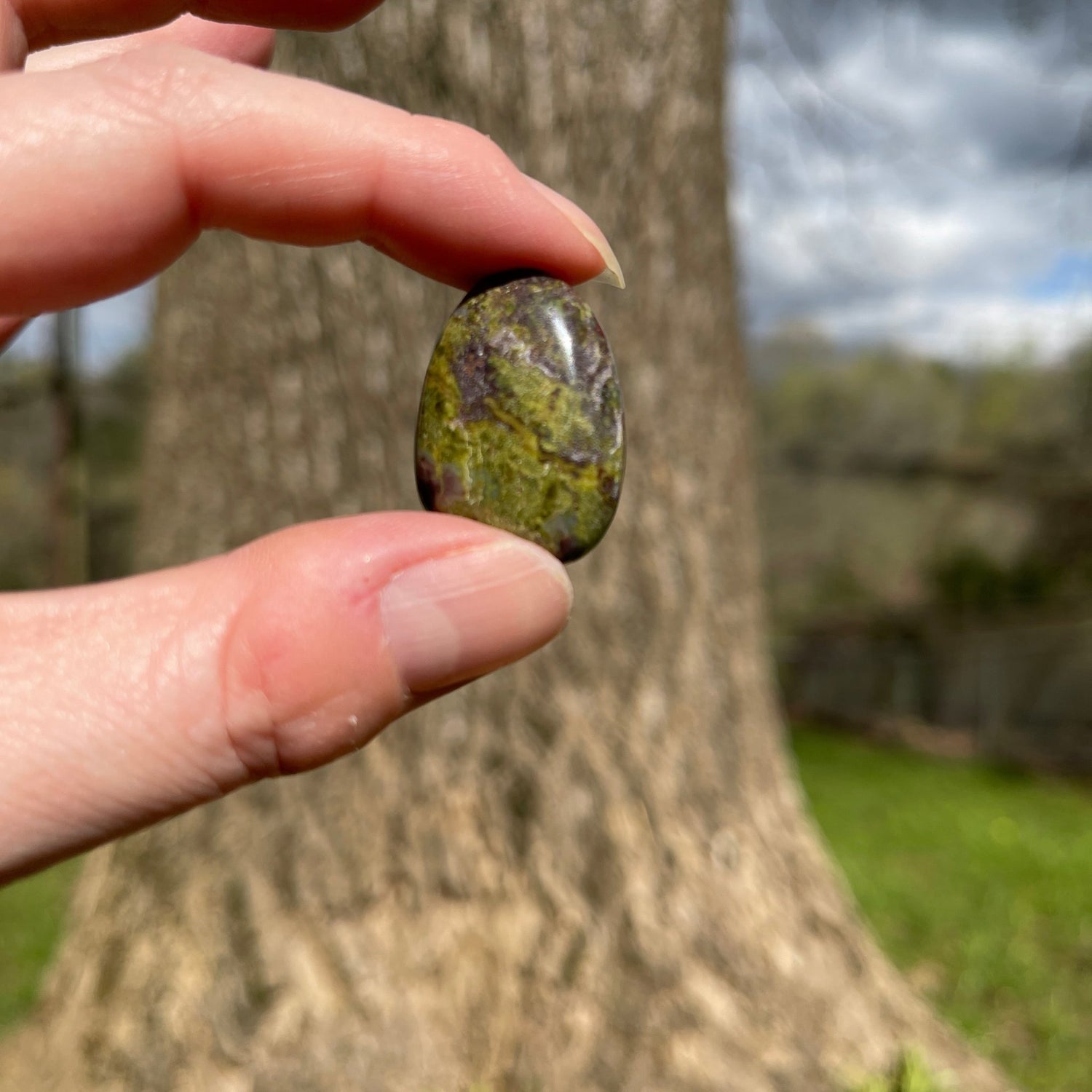 Dragon's Blood Jasper Tumble - Healing Stone Beings