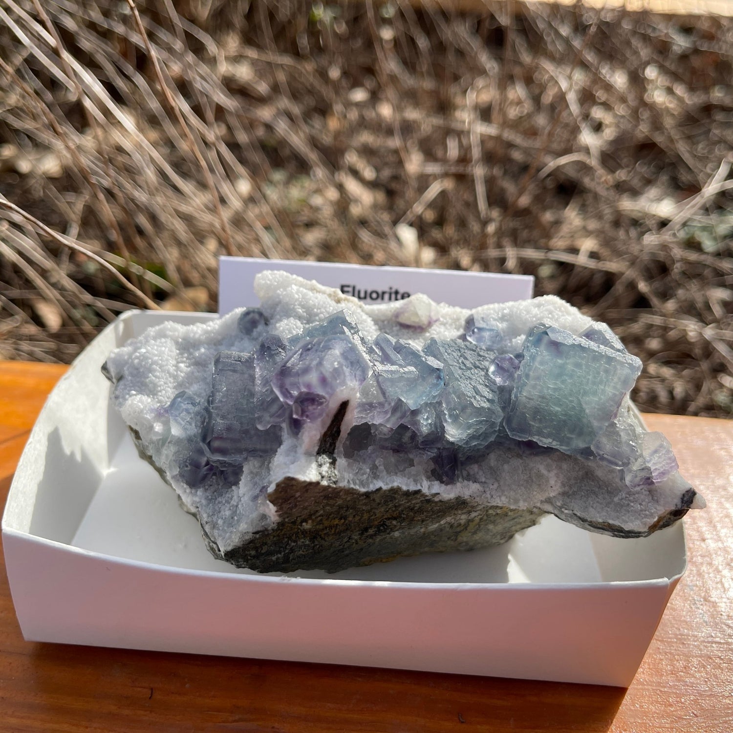 Fluorite - Healing Stone Beings