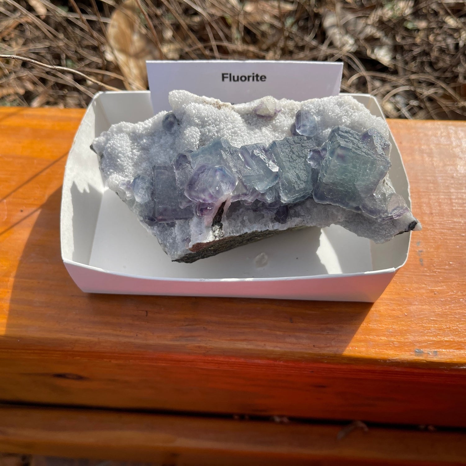 Fluorite - Healing Stone Beings