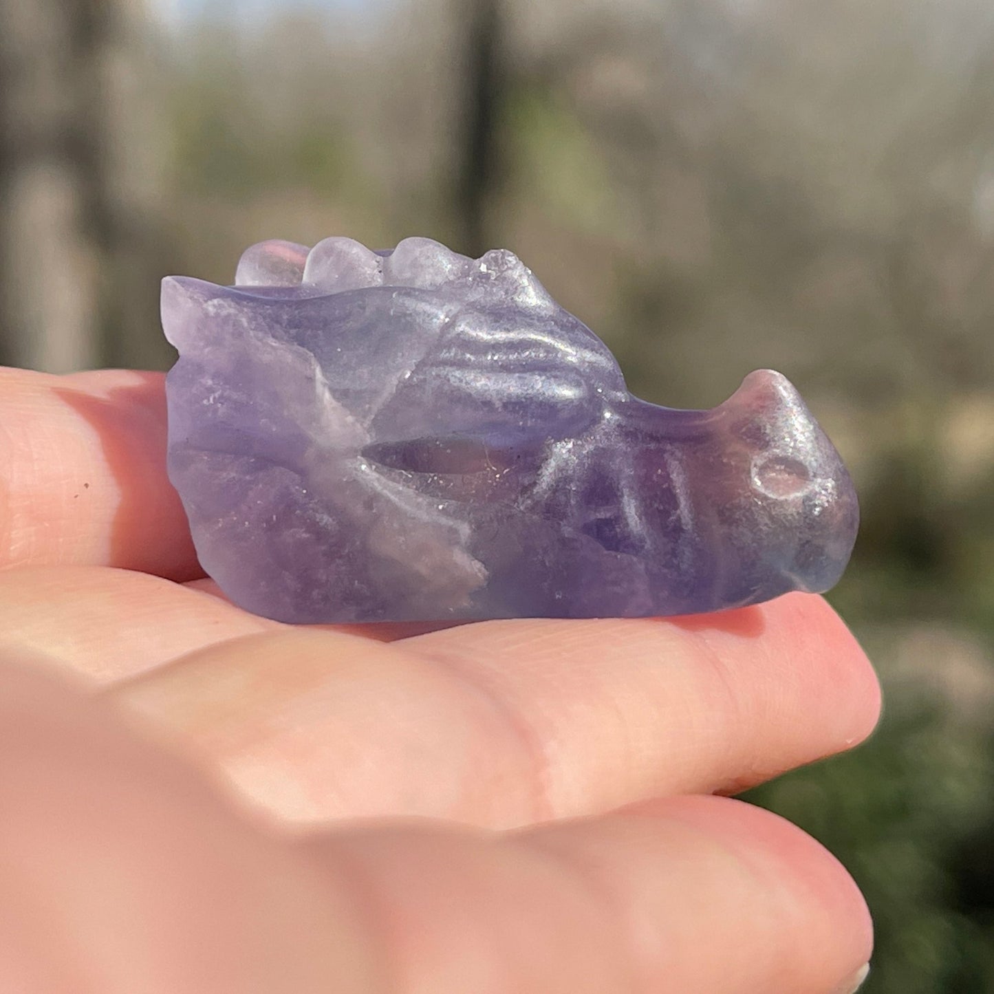 Fluorite Dragon Head - Healing Stone Beings
