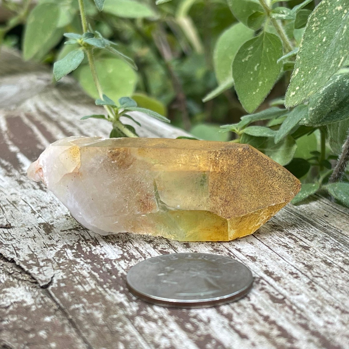 Golden Healer - Healing Stone Beings