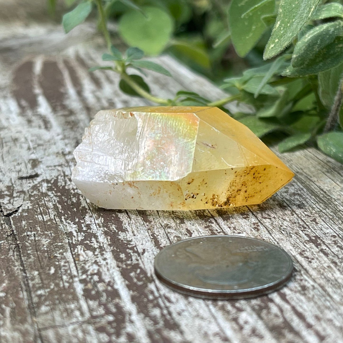 Golden Healer - Healing Stone Beings