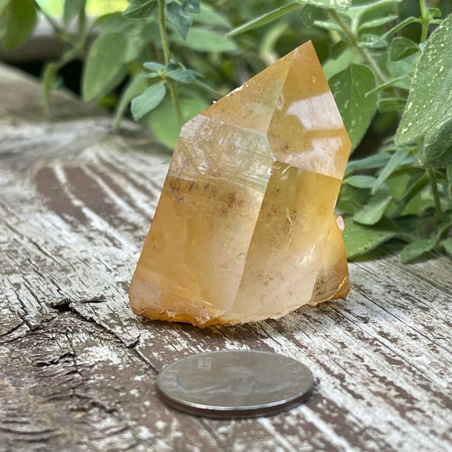 Golden Healer - Healing Stone Beings