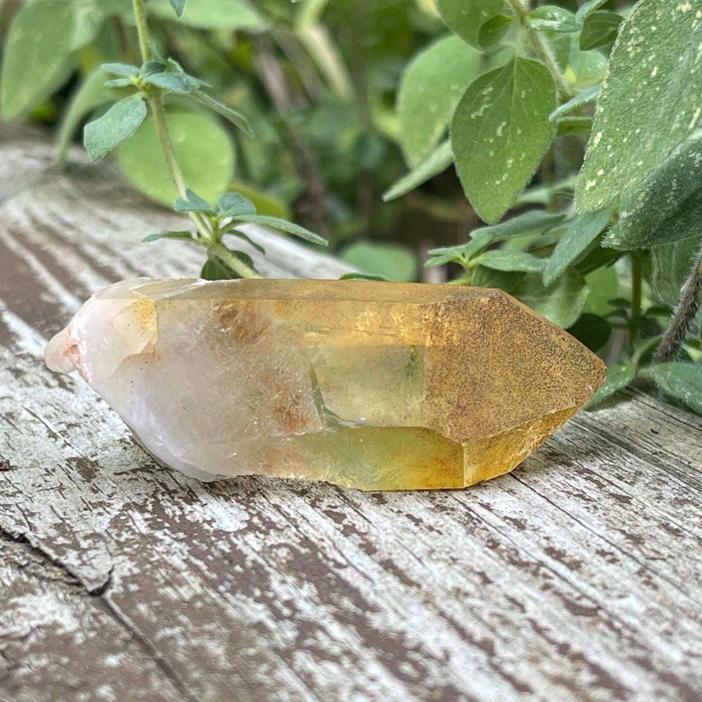 Golden Healer - Healing Stone Beings