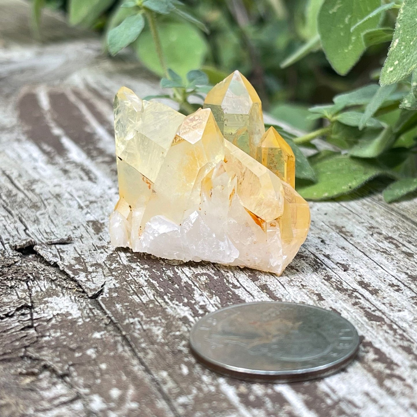 Golden Healer - Healing Stone Beings