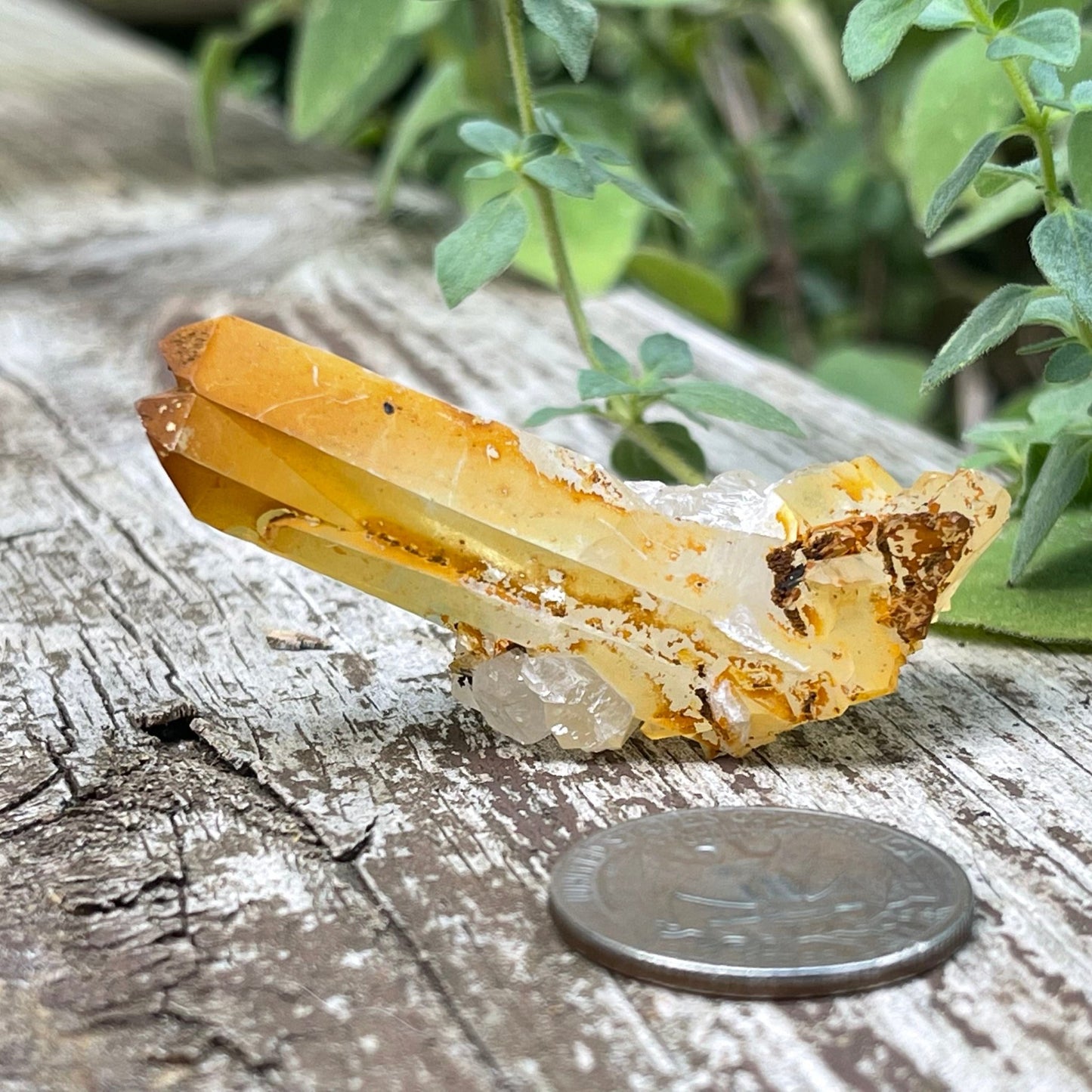 Golden Healer - Healing Stone Beings