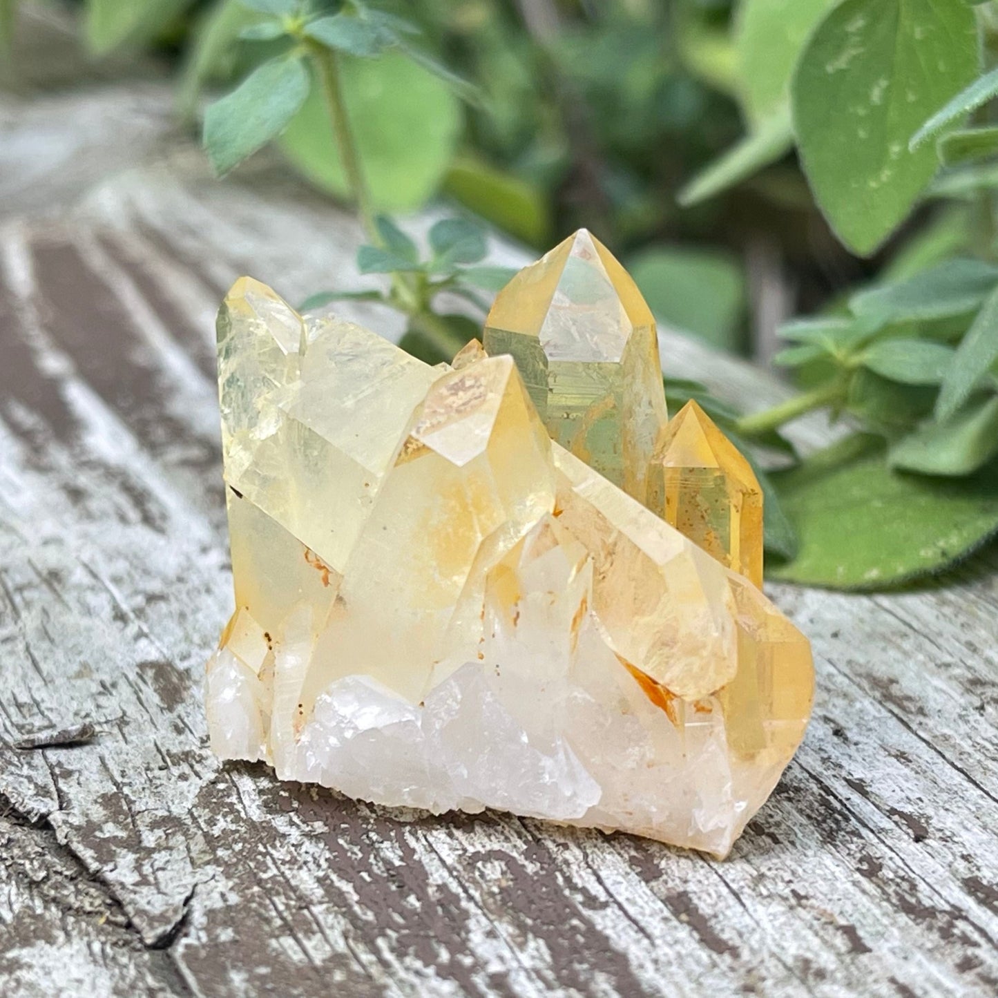 Golden Healer - Healing Stone Beings