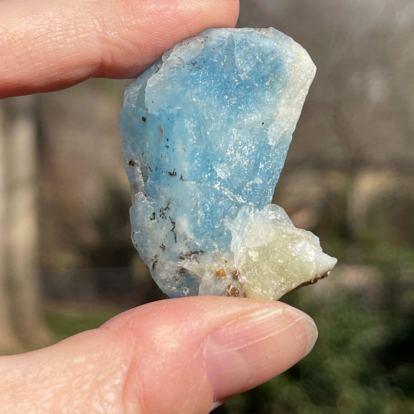 Hackmanite *very rare* - Healing Stone Beings
