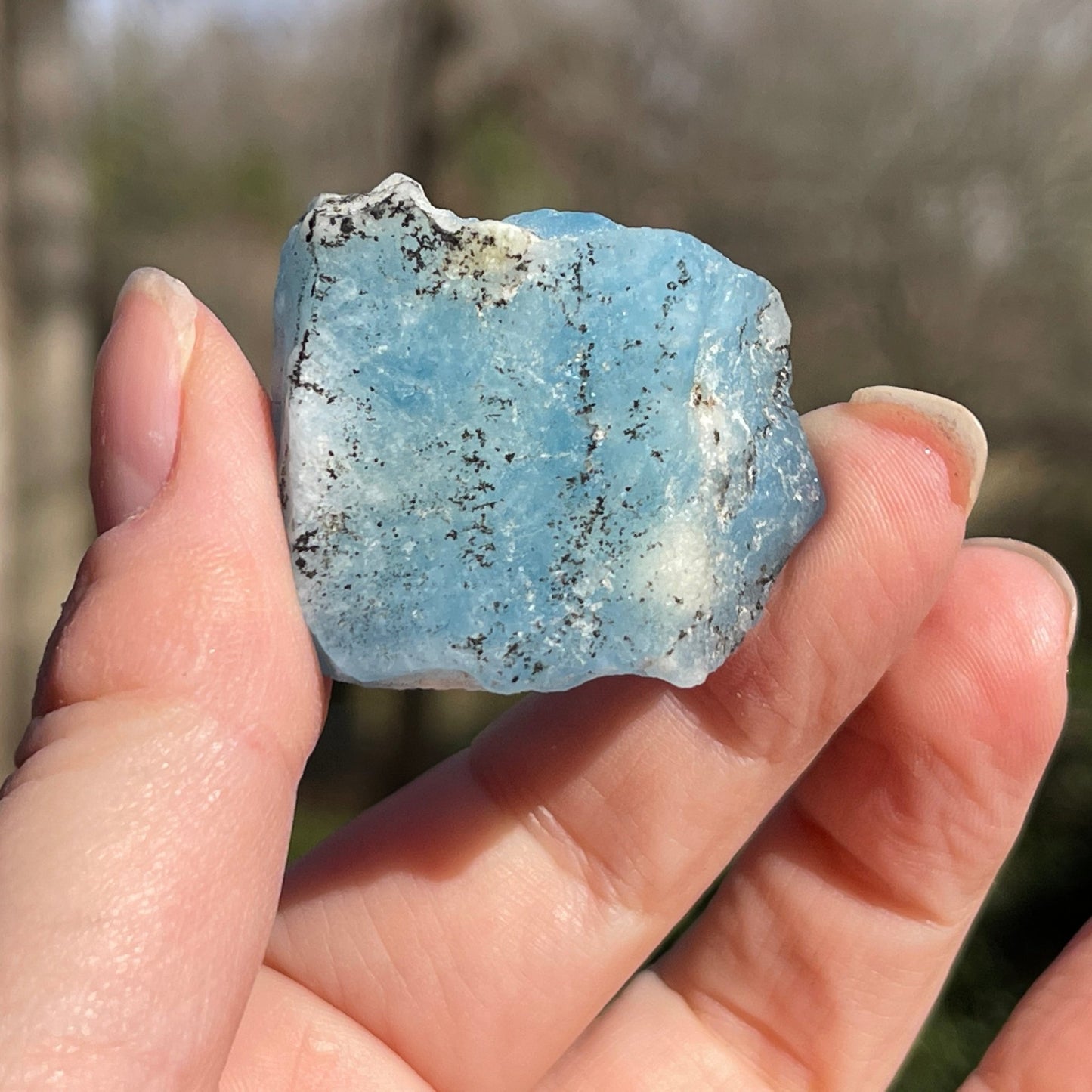 Hackmanite *very rare* - Healing Stone Beings