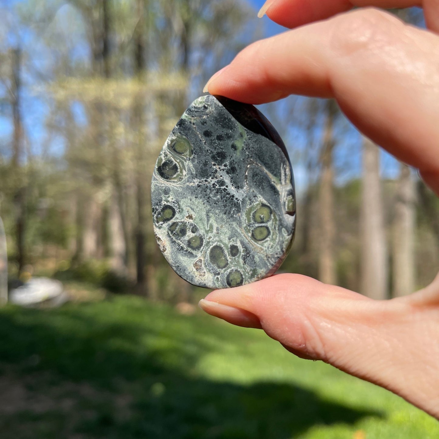 Kambaba Jasper Worry Stone - Healing Stone Beings