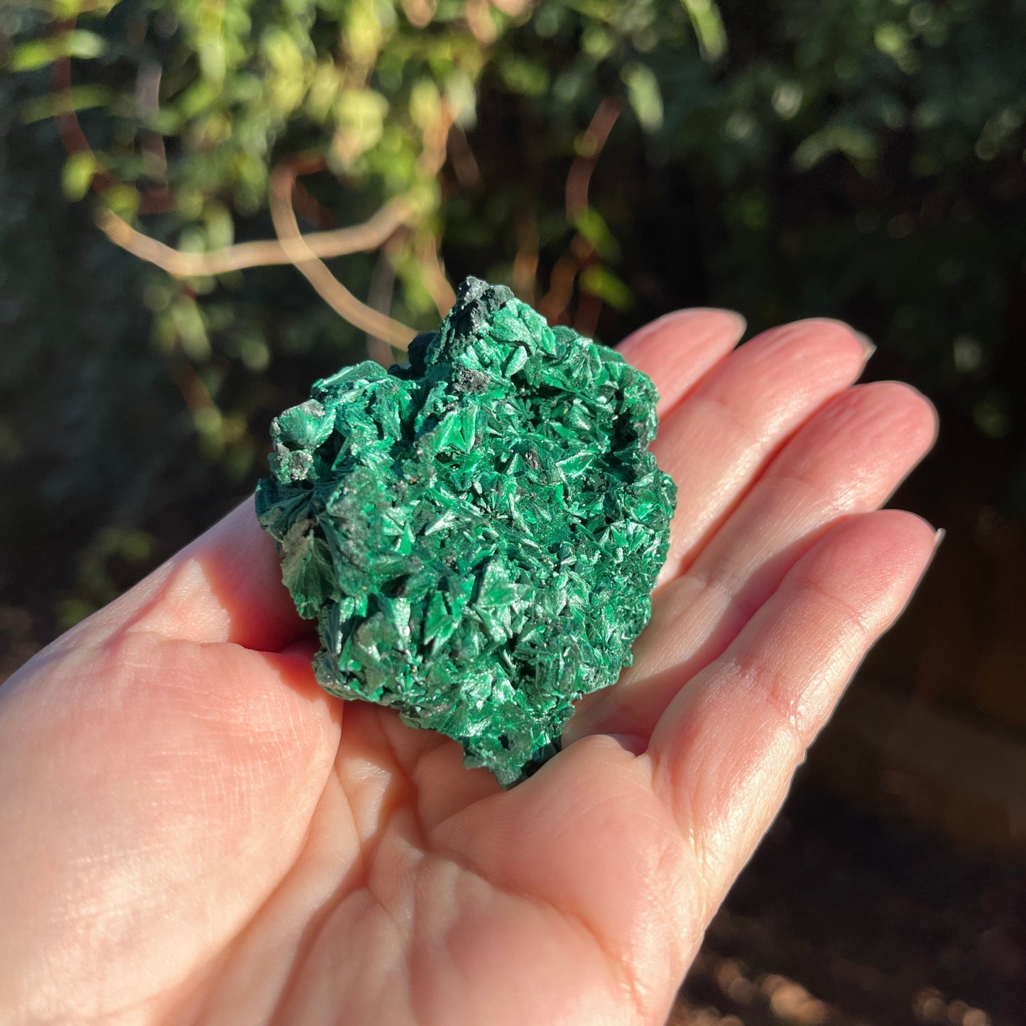 Malachite Free Form - Healing Stone Beings