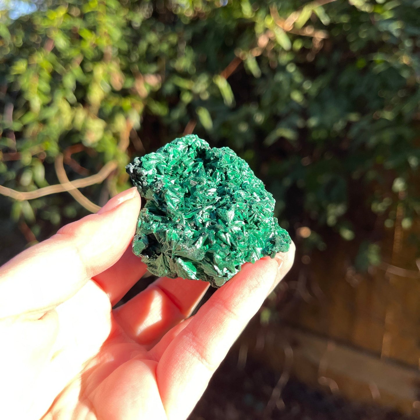 Malachite Free Form - Healing Stone Beings