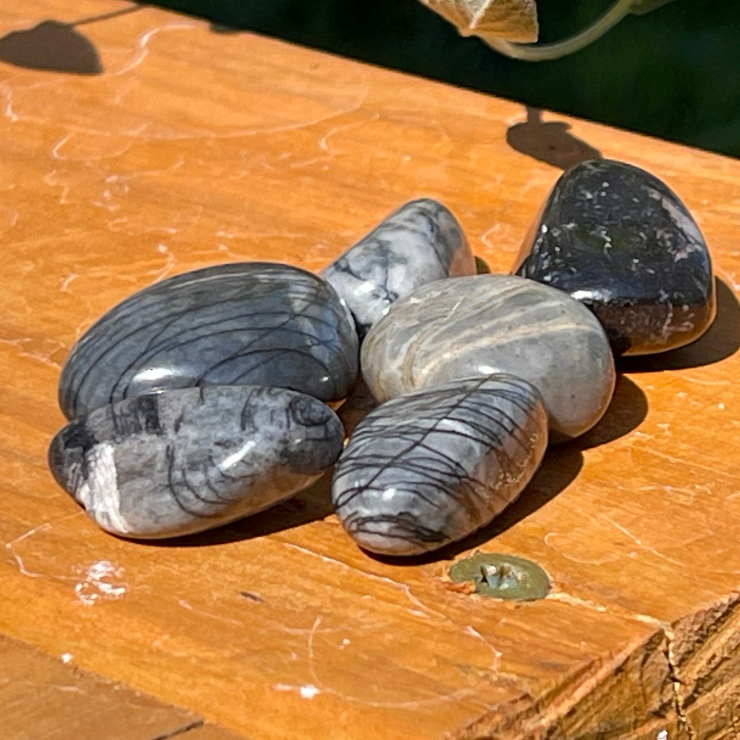 Network Jasper Tumble - Healing Stone Beings