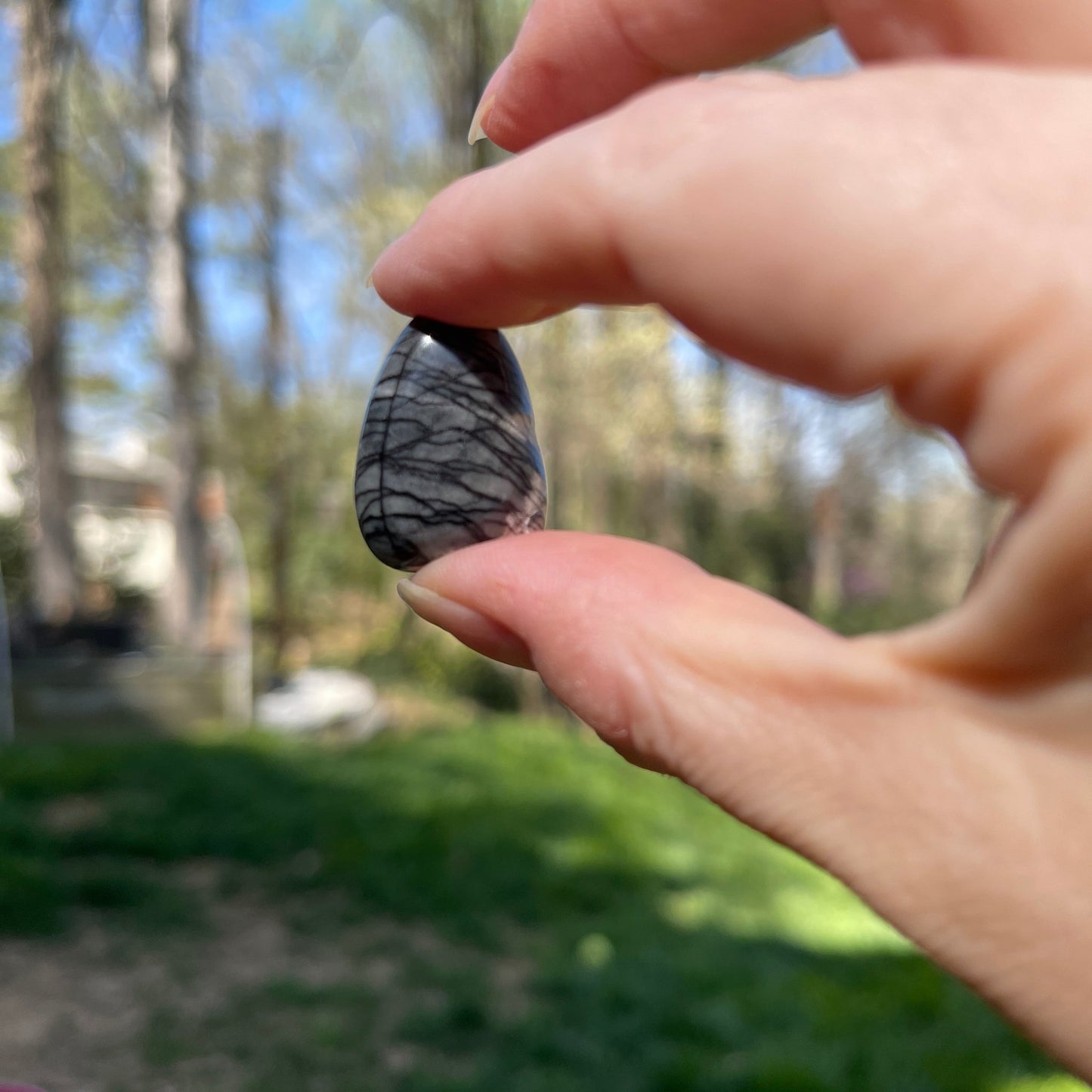 Network Jasper Tumble - Healing Stone Beings