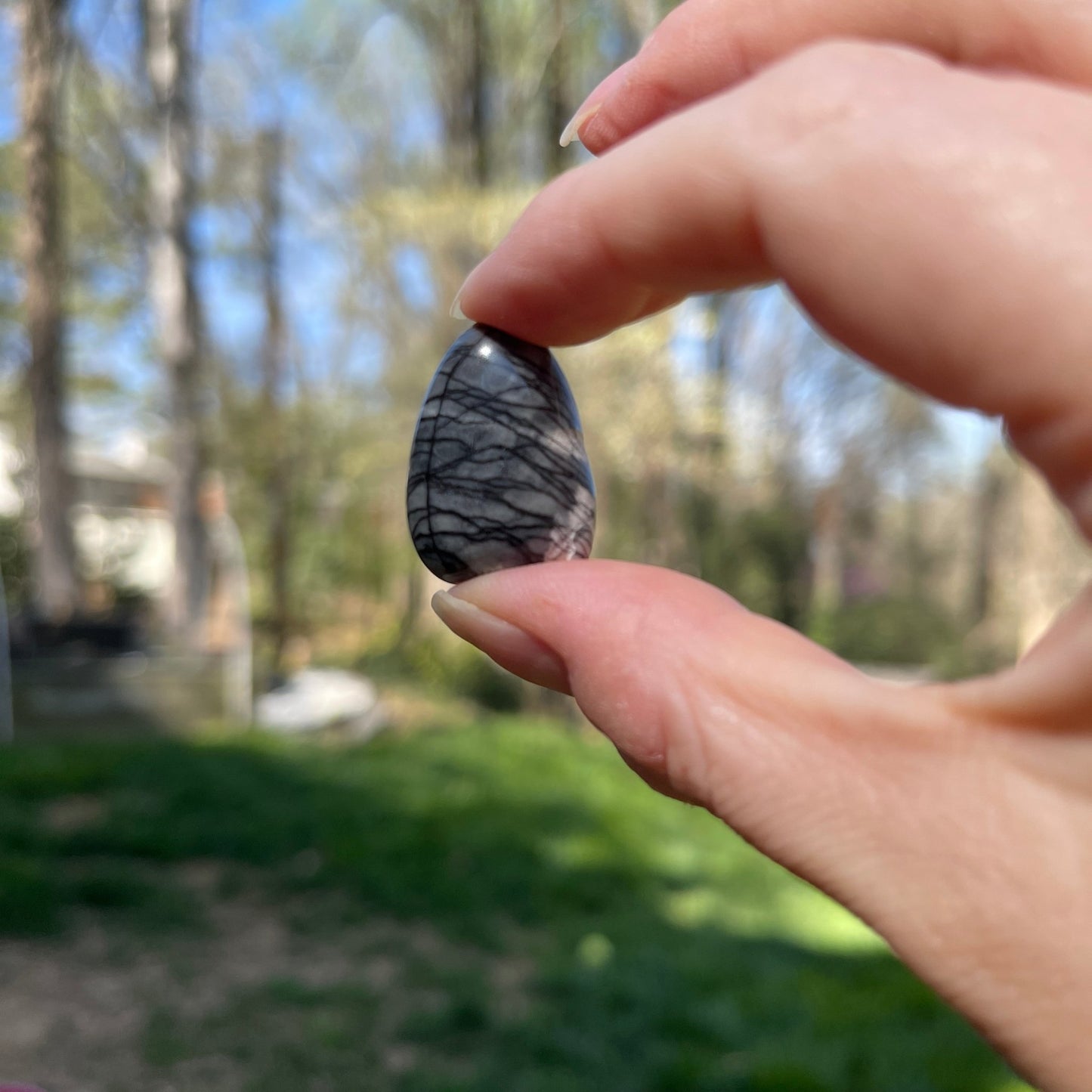 Network Jasper Tumble - Healing Stone Beings