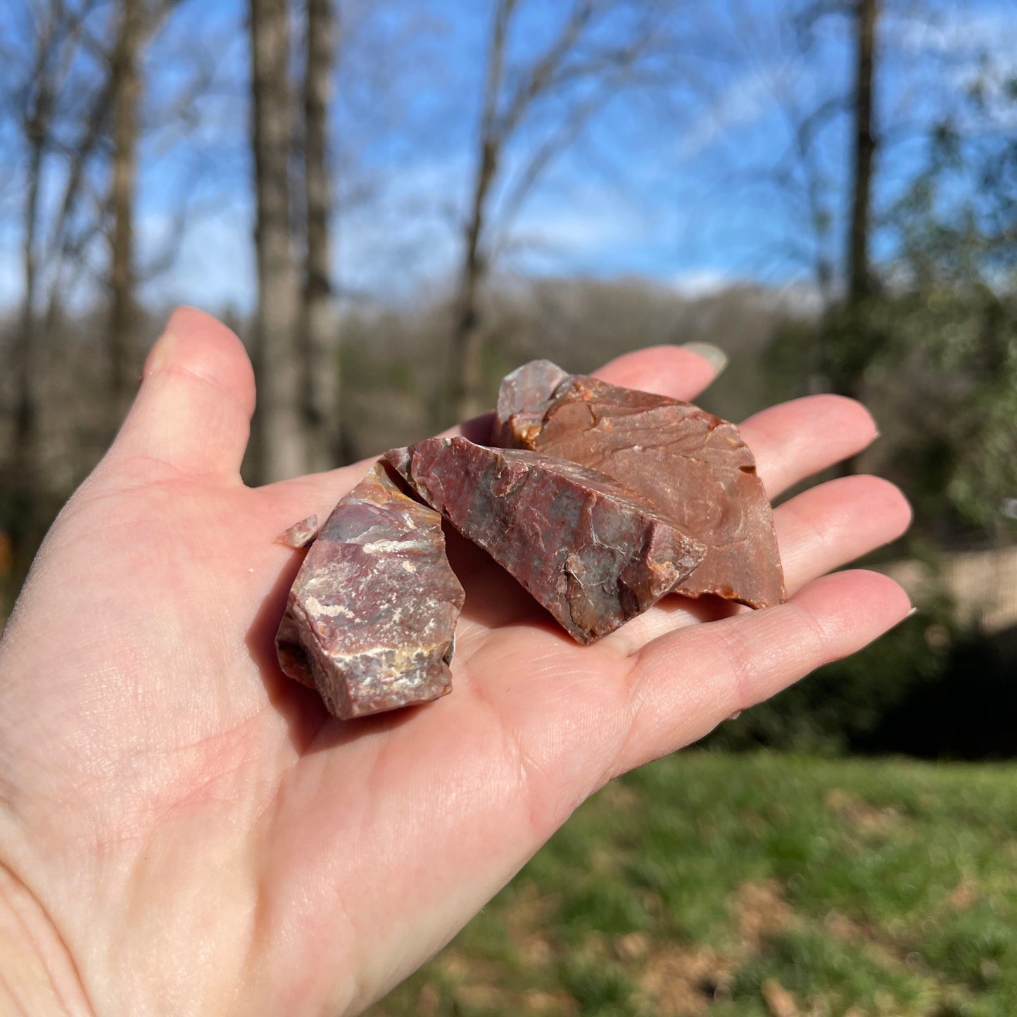Petrified Wood - Healing Stone Beings