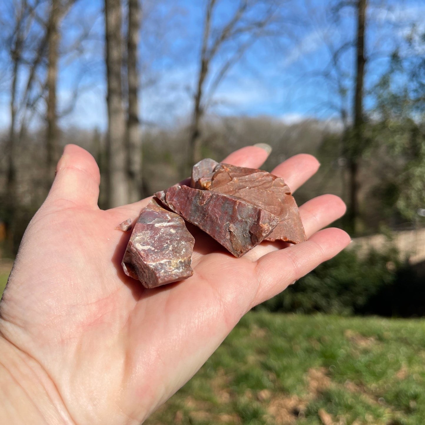 Petrified Wood - Healing Stone Beings