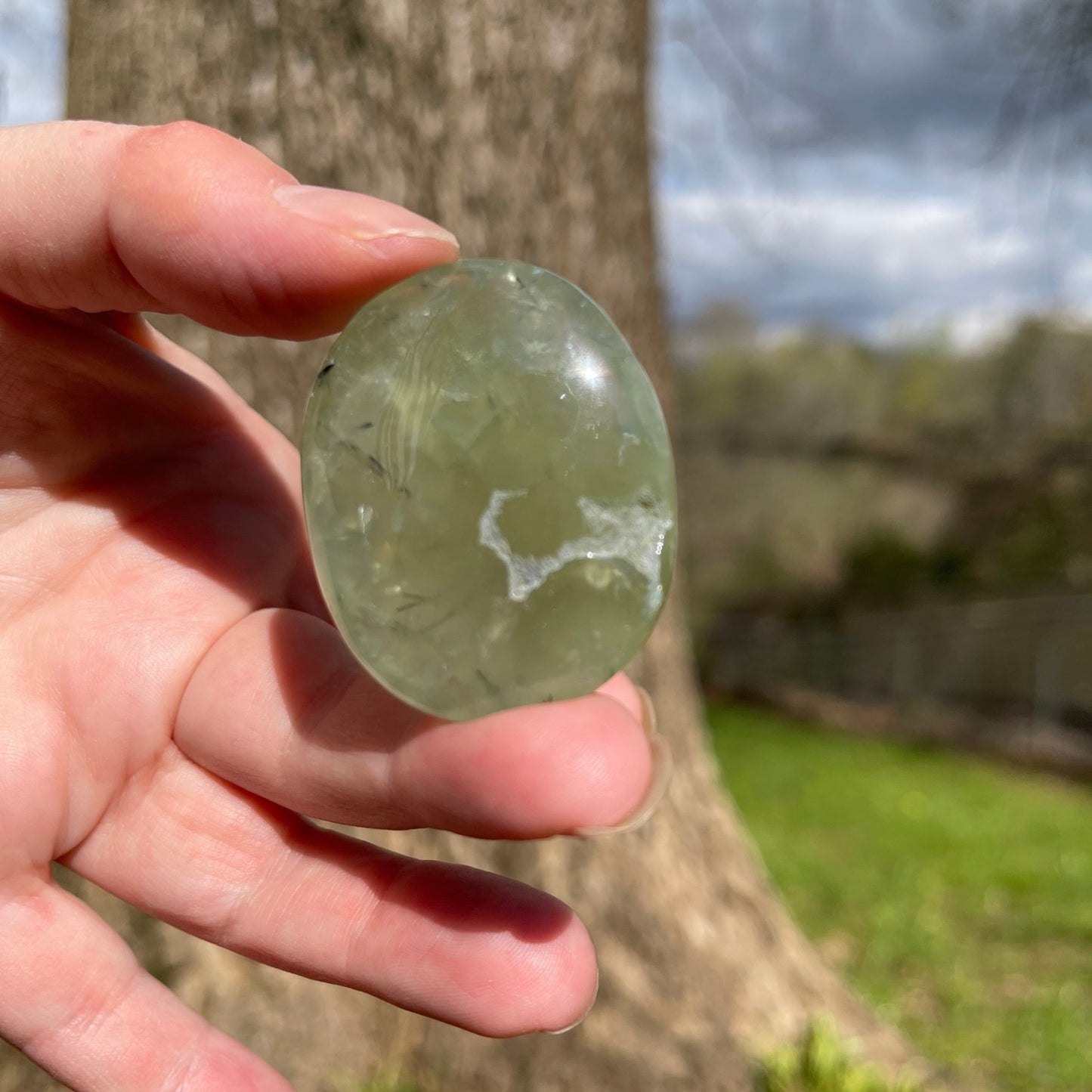 Prehnite Palm Stone - Healing Stone Beings