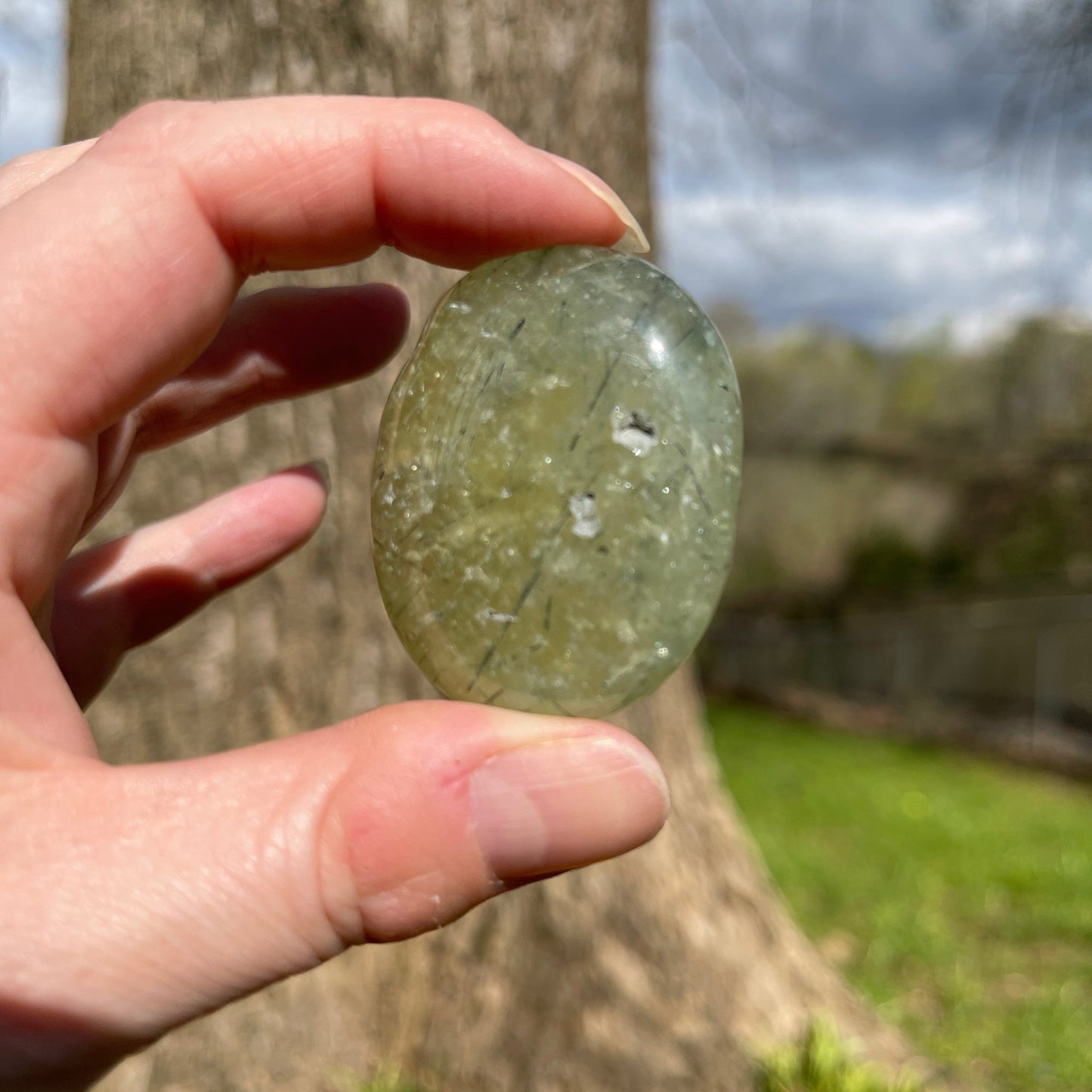 Prehnite Palm Stone - Healing Stone Beings