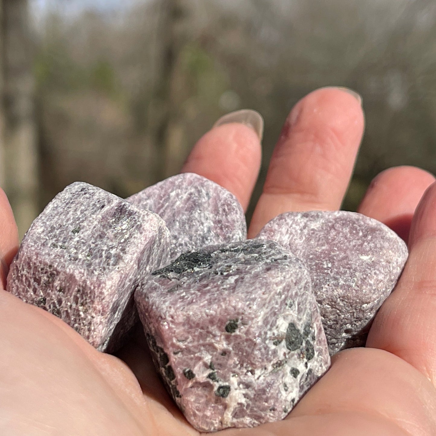 Raw Ruby Record Keeper (medium) - Healing Stone Beings