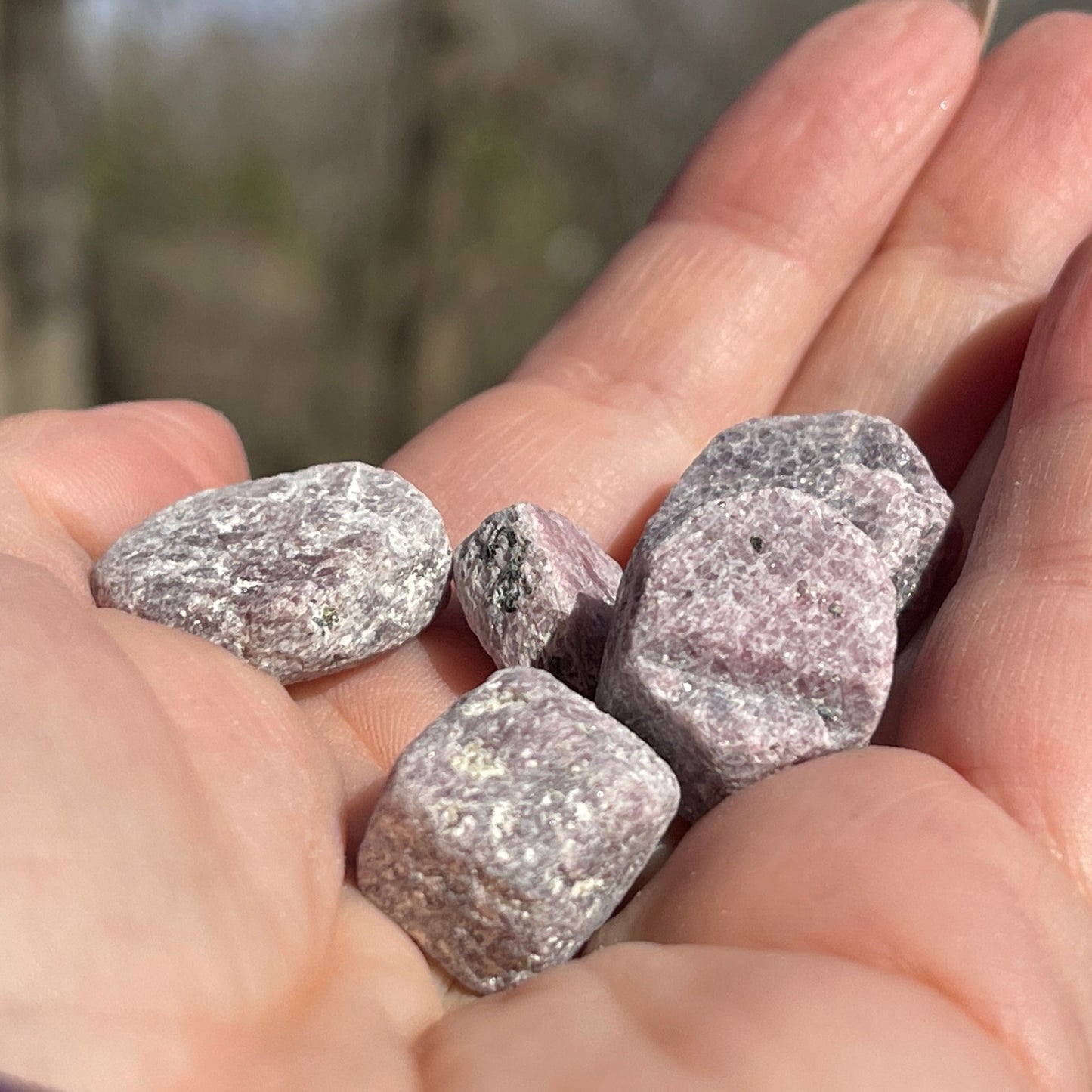 Raw Ruby Record Keeper (small) - Healing Stone Beings