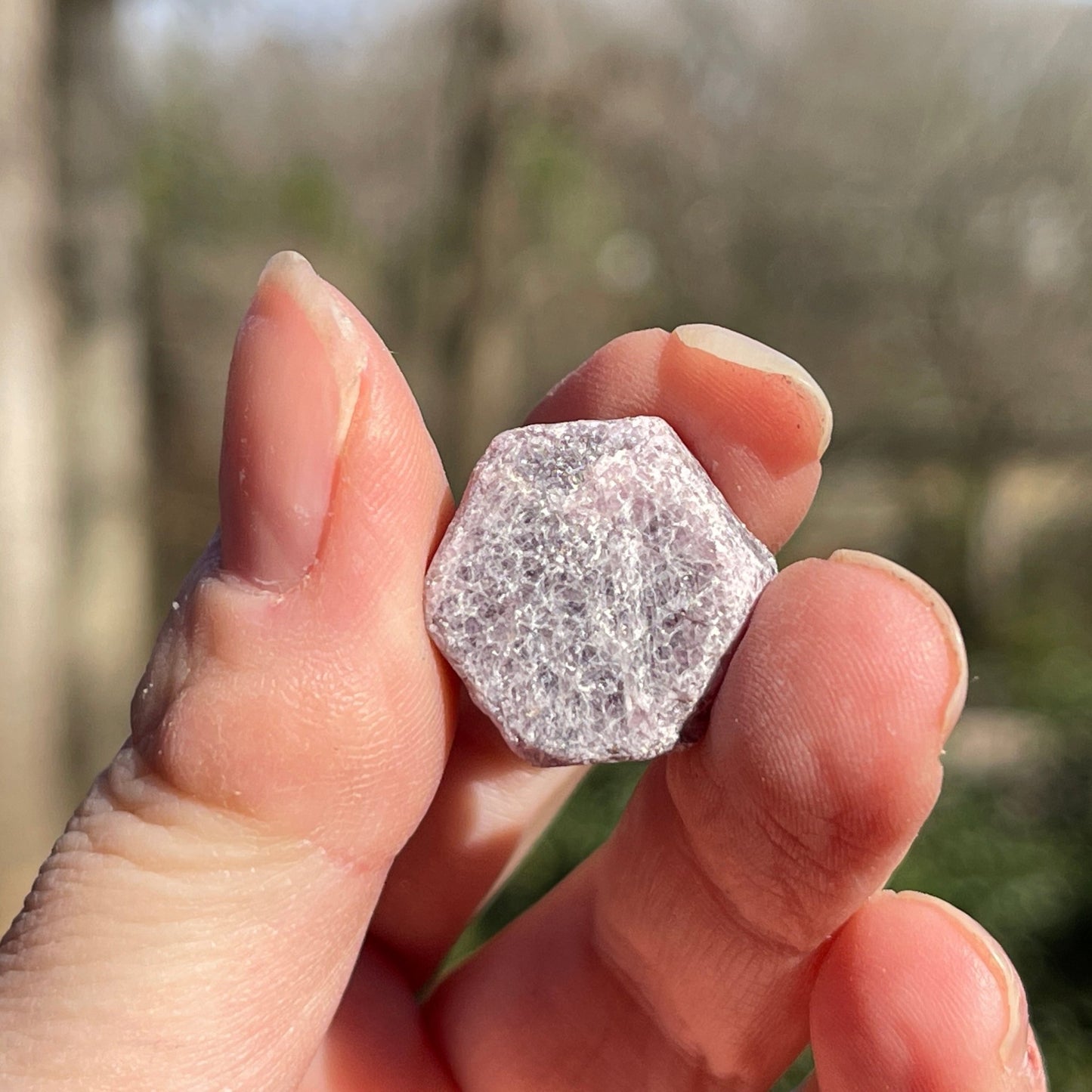 Raw Ruby Record Keeper (small) - Healing Stone Beings