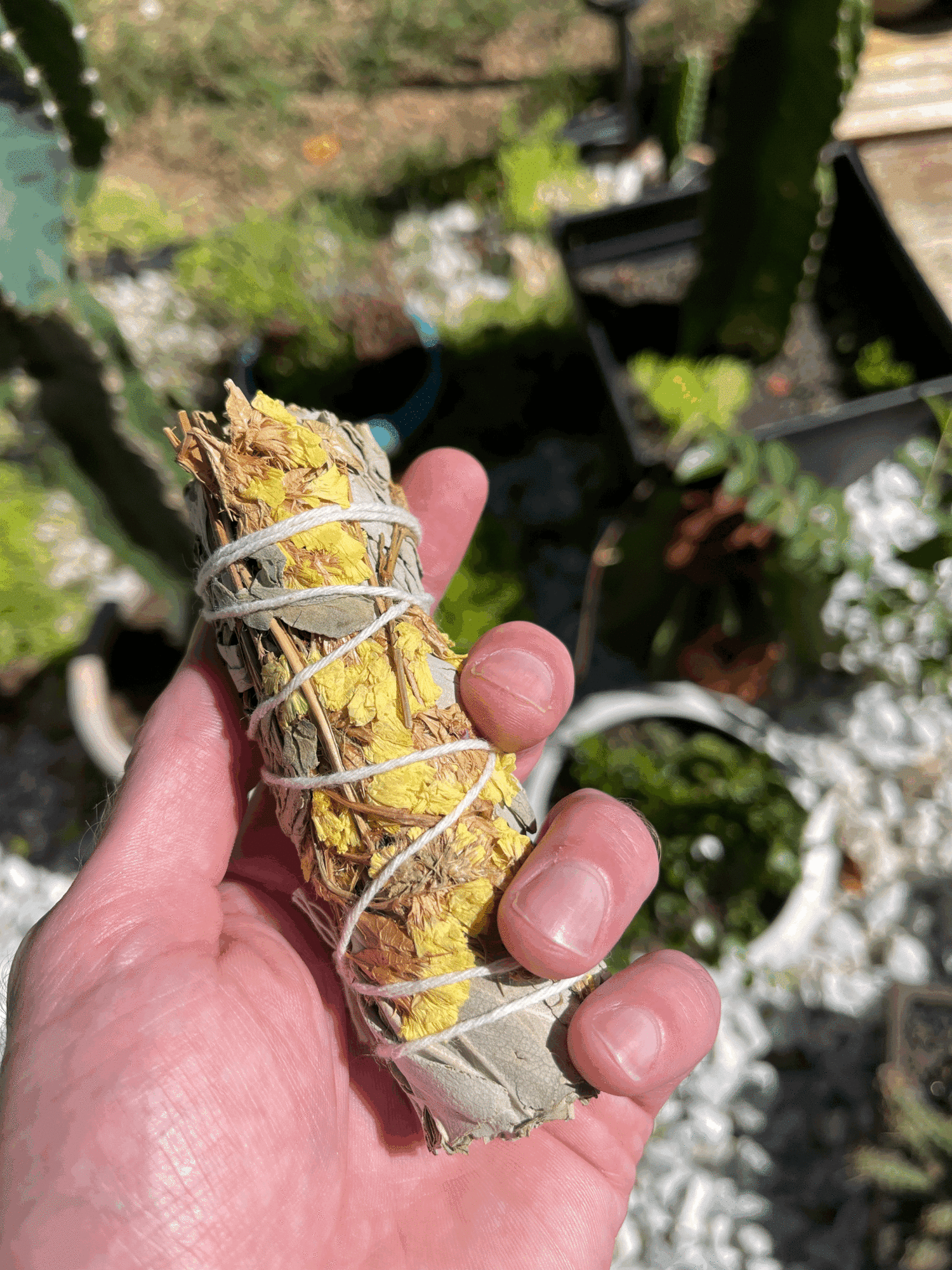 Sage Bundle - Healing Stone Beings