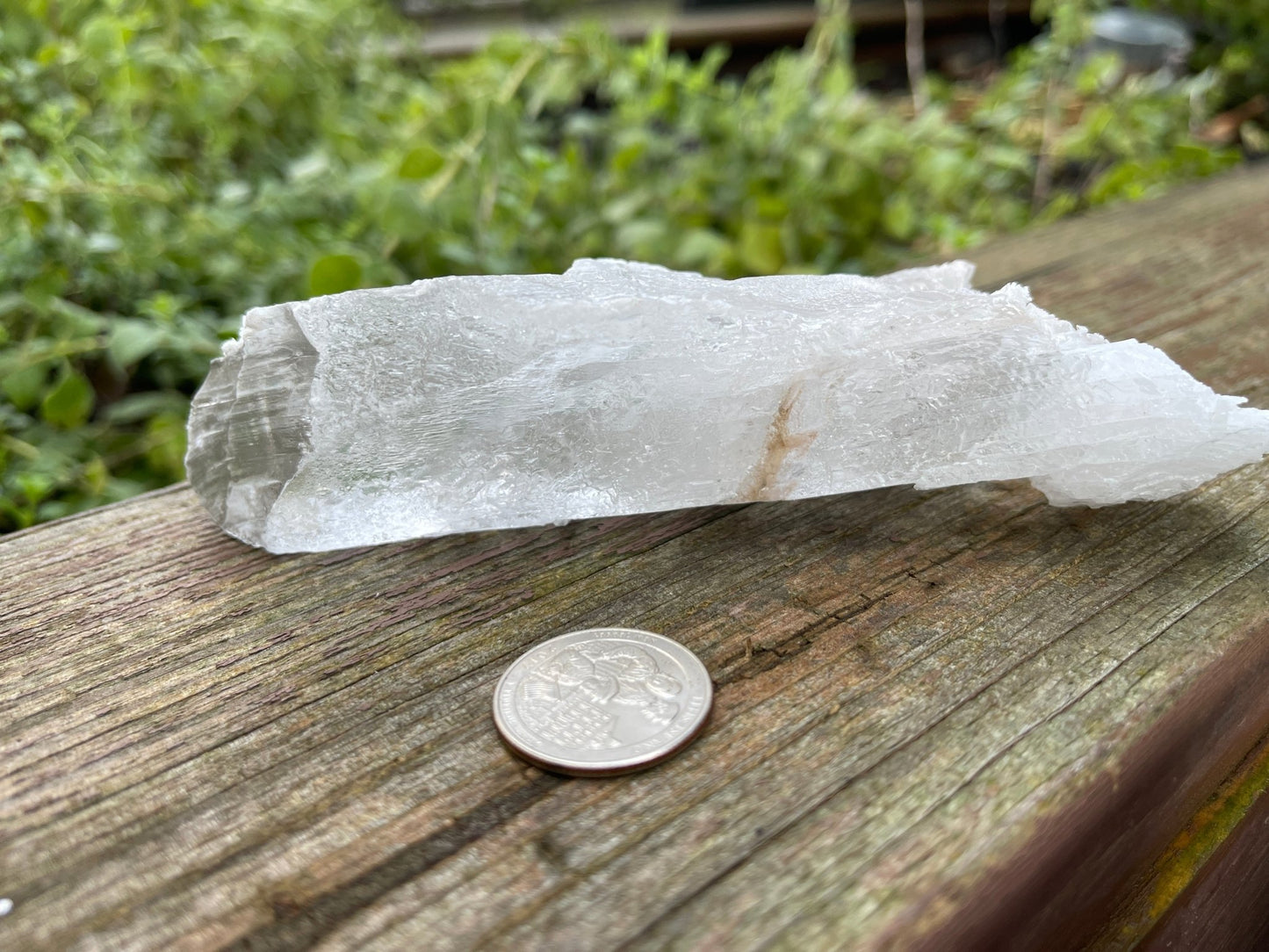 Selenite - Healing Stone Beings