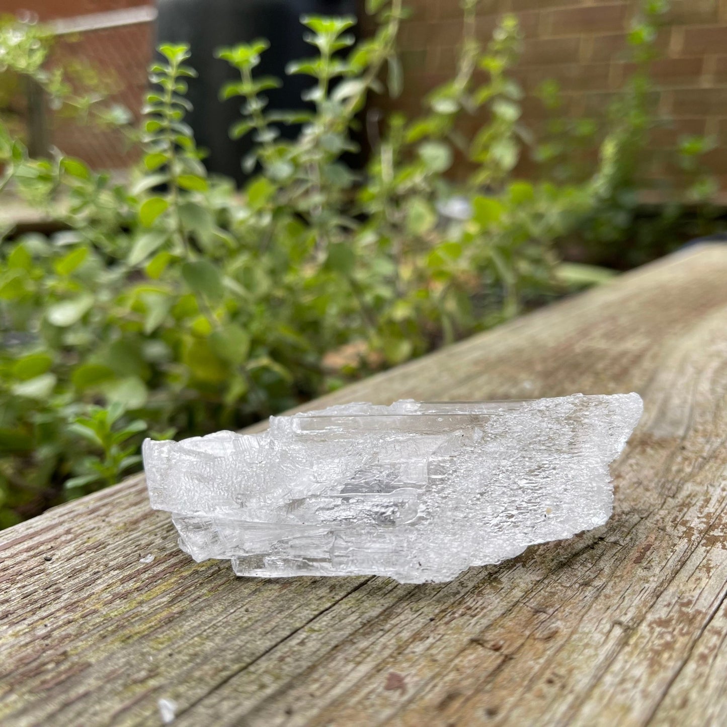 Selenite - Healing Stone Beings