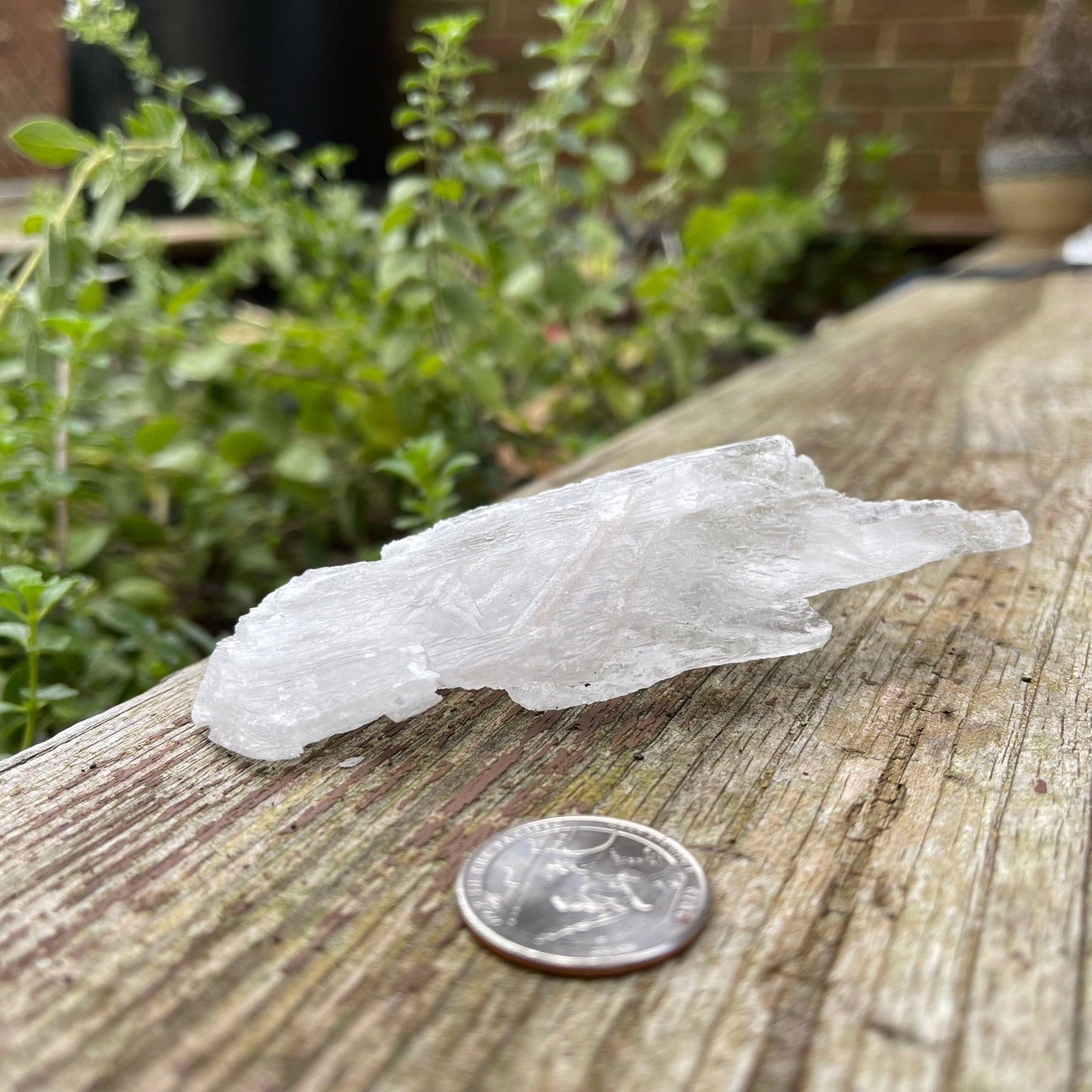 Selenite - Healing Stone Beings