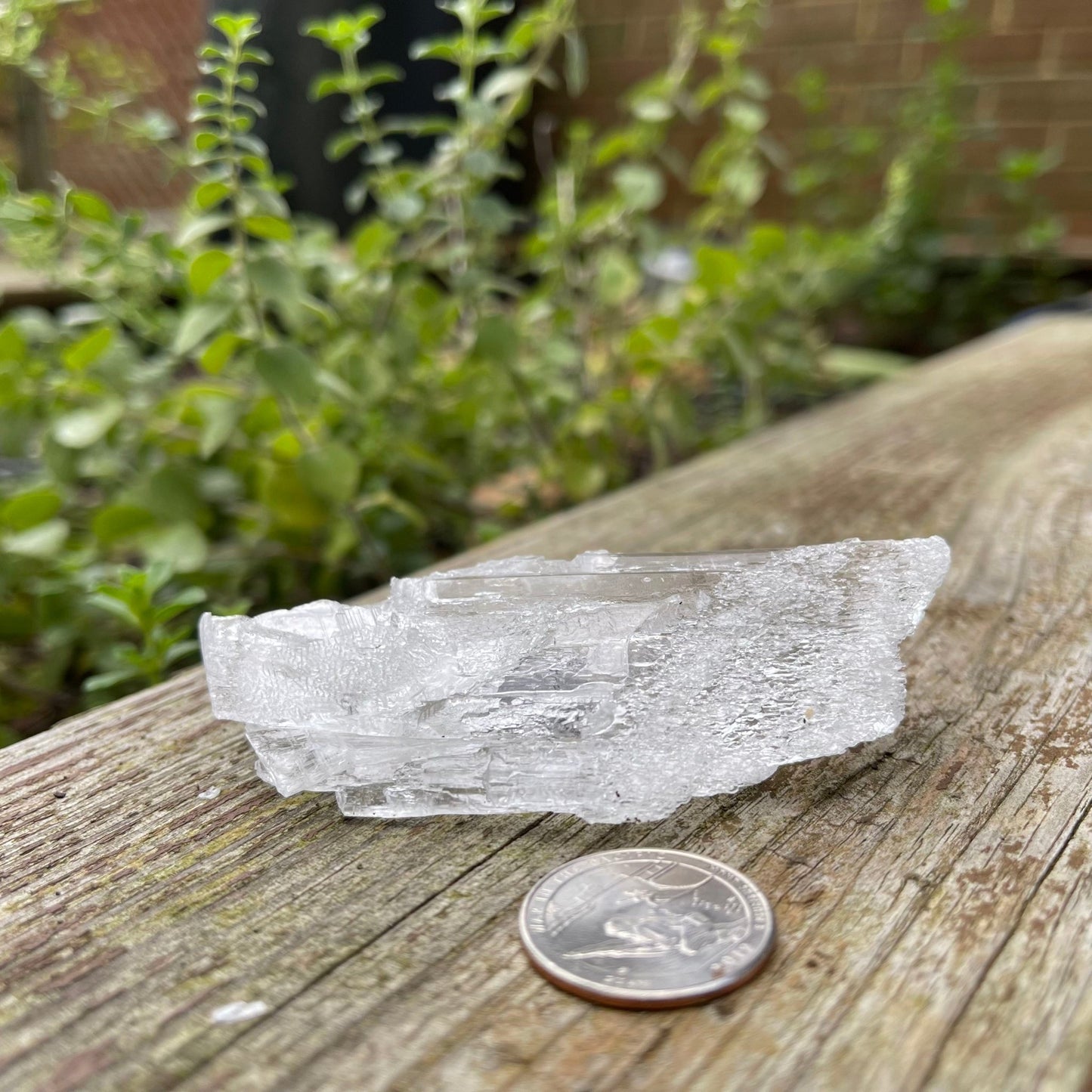 Selenite - Healing Stone Beings