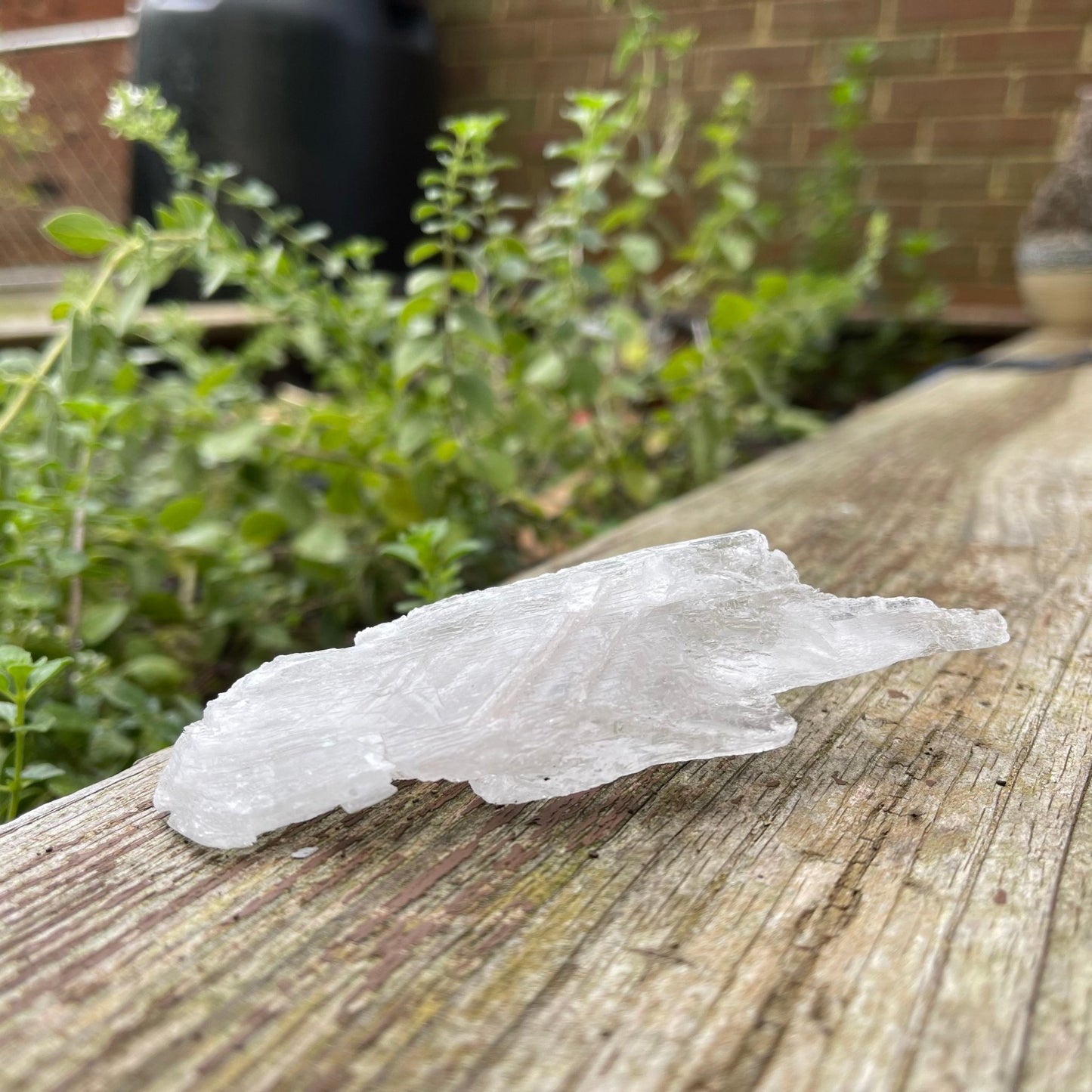 Selenite - Healing Stone Beings