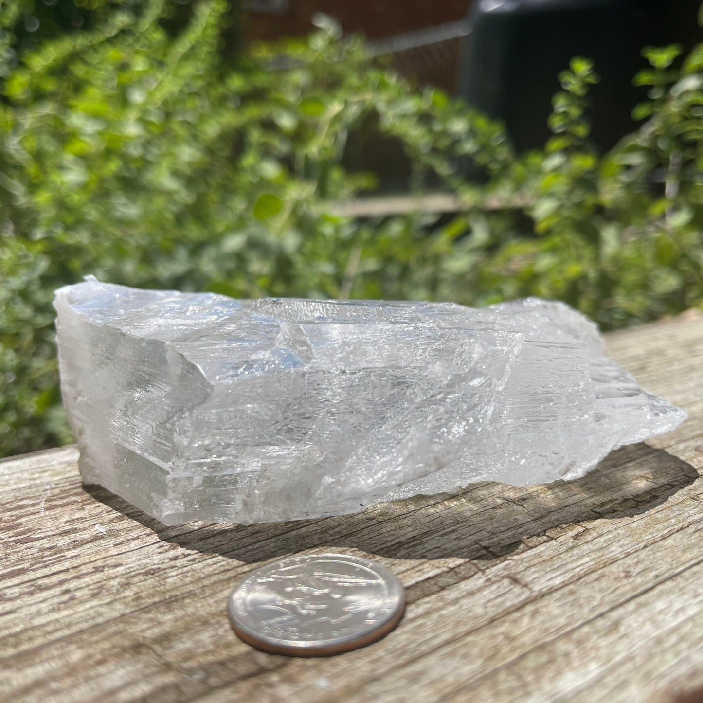 Selenite - Healing Stone Beings