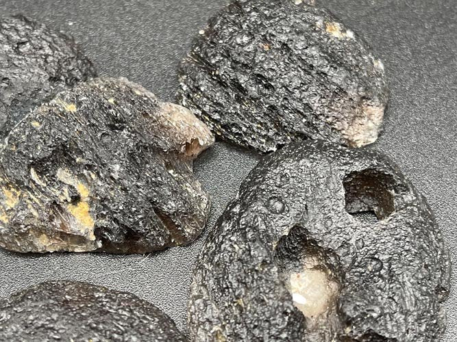 Tektite Slices - Healing Stone Beings