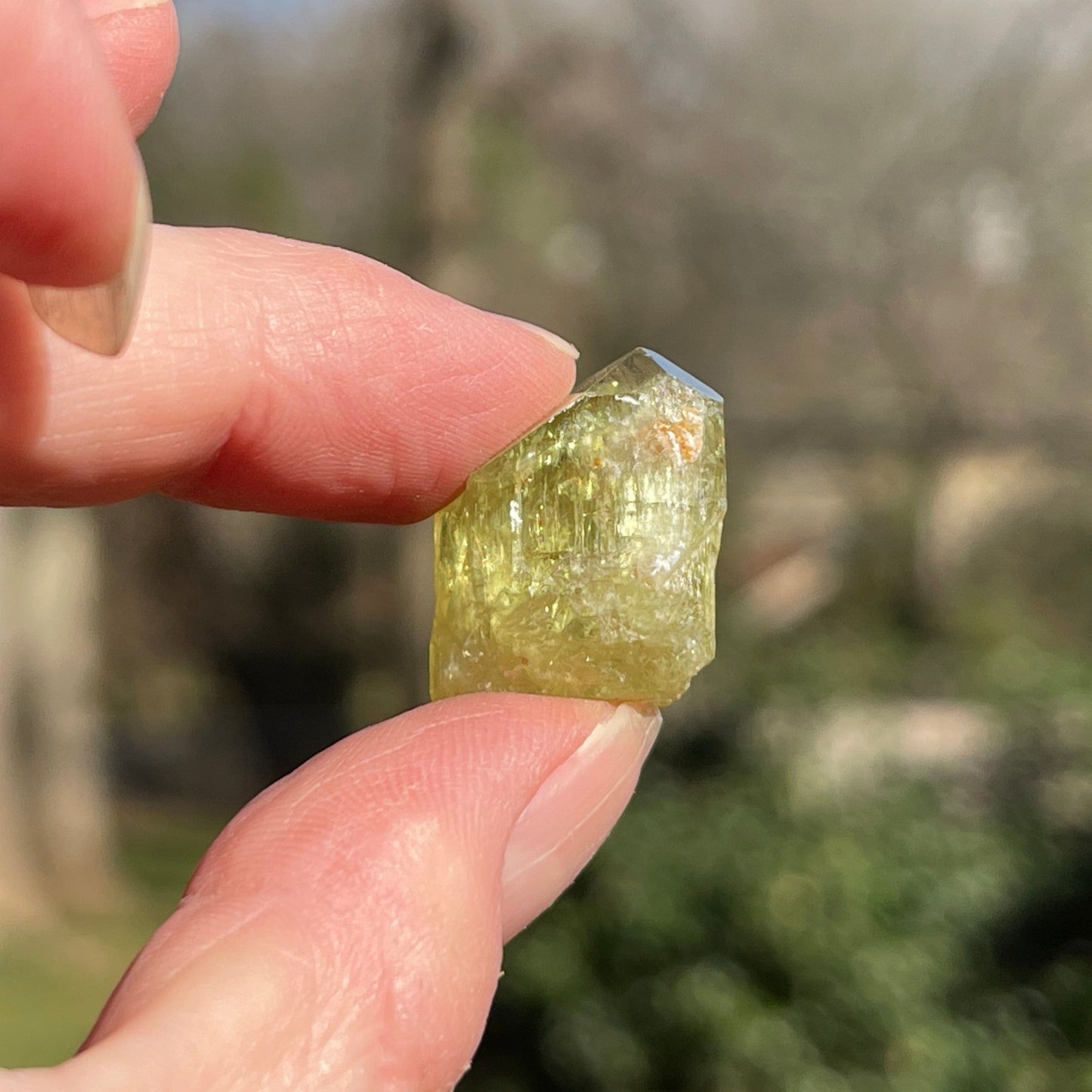 Yellow Apatite from Morocco - Healing Stone Beings