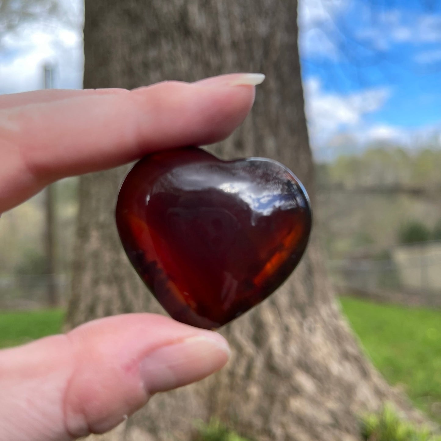 Amber Hearts - Healing Stone Beings