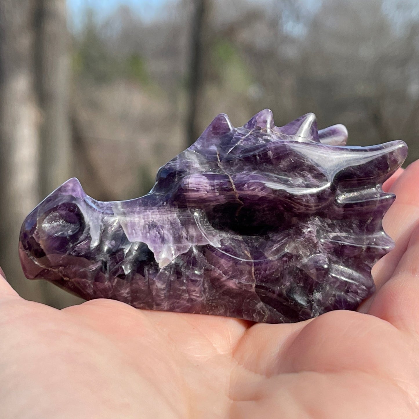 Amethyst Dragon Head - Healing Stone Beings