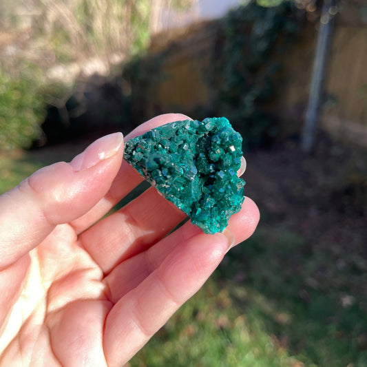 Dioptase from Congo - Healing Stone Beings