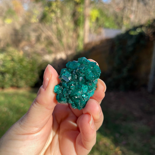 Dioptase from Congo - Healing Stone Beings