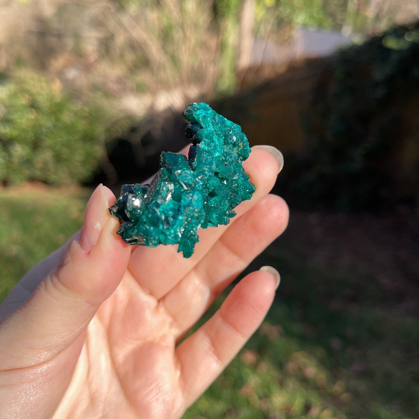 Dioptase from Congo - Healing Stone Beings