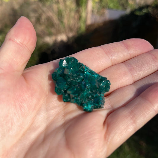 Dioptase from Congo - Healing Stone Beings