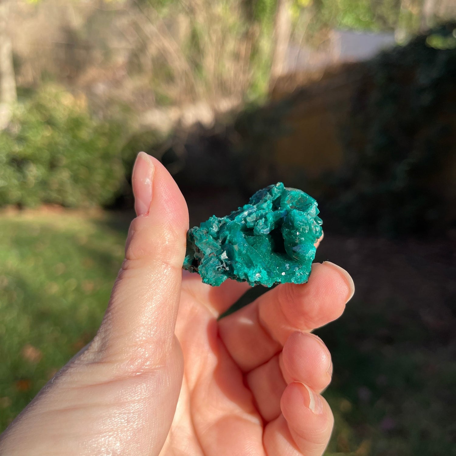 Dioptase from Congo - Healing Stone Beings