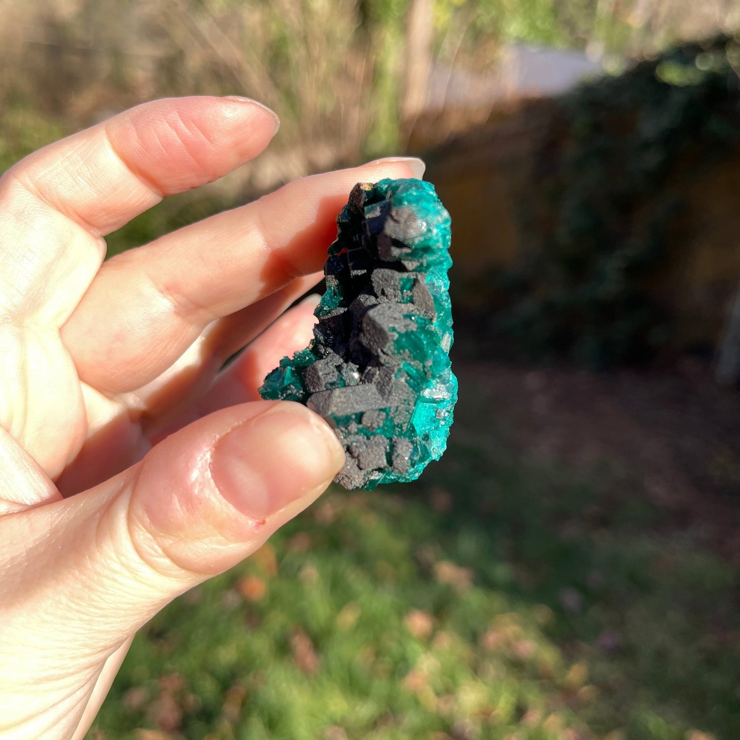 Dioptase from Congo - Healing Stone Beings