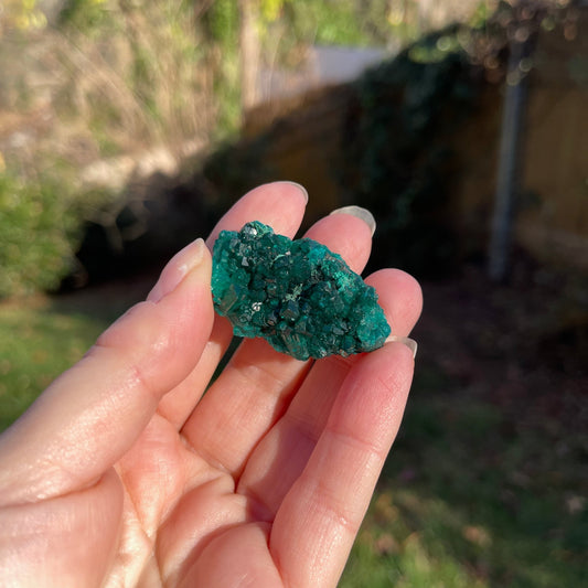 Dioptase from Congo - Healing Stone Beings