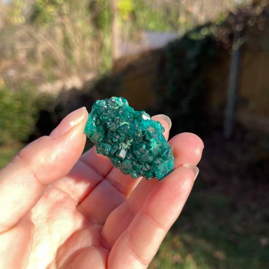 Dioptase from Congo - Healing Stone Beings